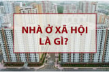 Từ 15/10/2024: Trường hợp này bị thu hồi NOXH ai cũng nên biết sớm kẻo mất quyền lợi