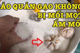 Vùi 1 củ tỏi vào thùng gạo, lợi ích quý hơn vàng, ai không biết quá phí