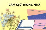 Thầy phong thủy nhắc: Vứt ngay 3 thứ này khỏi nhà thì phong thủy tốt lên, gia đình giàu có hạnh phúc