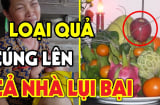 5 loại trái cây ngon ngọt, đẹp mắt nhưng người xưa rất kị thắp hương, là quả gì?