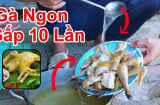 Đầu bếp nhà hàng 5 sao mách: Luộc gà bằng nước lã vừa tanh vừa đỏ, thêm 1 thứ gà chín ngọt đậm