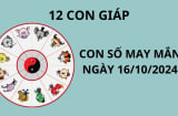 Tử vi ngày 16/10,con số may mắn mang lại tài lộc giàu có cho 12 con giáp thuận lợi 'đổi đời'