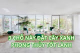 Nhà dù to hay nhỏ nên nhớ dành 3 chỗ này trồng cây xanh, phong thủy tốt lành thu hút tài lộc giàu có