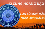 Tử vi ngày 20/10, con số may mắn cát tinh chiếu rọi cho 12 cung hoàng đạo