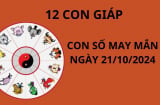 Tử vi ngày 21/10, con số may mắn số đẹp tài lộc giúp 12 con giáp thuận lợi thăng tiến phát tài