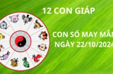 Tử vi ngày 22/10 con số may mắn cho 12 con giáp gặp thuận lợi nhận mưa vàng tài lộc từ thần tài