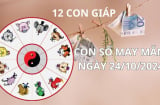 Tử vi ngày 24/10, con số may mắn cho 12 con giáp phát tài thuận lợi giàu có