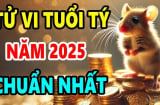 Tử vi tuổi Tý 2025: Tam Tai đã thoát, có thể mưu đồ sự lớn nhưng cần thận trọng những điều này