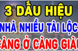 Nhà có 3 dấu hiệu này chúc mừng bạn đất có chôn giấu kho báu, càng ở càng giàu có