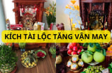 3 loại cây thủy sinh trồng ở ban thờ Thần tài giúp gia chủ phát tài giàu có, tiền bạc rủng rỉnh