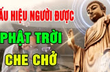 Người có nét tướng này trên mặt được Thần Phật che chở: Cả đời bình an, giàu có