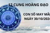 Tử vi ngày 30/10, con số may mắn vượng tài lộc tăng giàu có cho 12 chòm sao