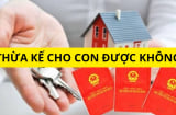 Đất chưa được cấp sổ đỏ có được di chúc lại cho con hay không? Cập nhật quy định mới kẻo thiệt thòi