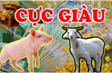 Tháng 12 Dương Cực Đỏ: 4 tuổi Đắc Lộc, Đắc Tài gánh lộc về nhà, giàu thứ 2 không ai số 1