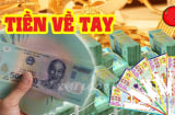 10 ngày tới (7/11-17/11): 3 tuổi Trúng Quả Đậm tiền về tay, đời sang trang mới, giàu có sau 1 đêm