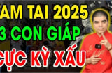 3 con giáp xui đủ đường năm Ất Tỵ 2025: 1 tuổi vừa Tam Tai, vừa sao xấu chẳng nên làm việc lớn