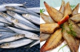 Đừng bỏ qua loại cá 'siêu thực phẩm' này: Giàu omega-3, tốt cho tim mạch, dễ tìm ngay tại Việt Nam