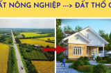 Trường hợp đất nông nghiệp nào được chuyển đổi sang đất ở?