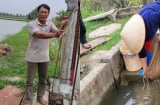 Nuôi loài vật 'trời cho', anh nông dân Hải Phòng thu nhập khủng, mang lại cuộc sống giàu có