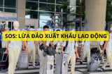 Cảnh báo khẩn cấp từ Bộ LĐTBXH: Người muốn đi xuất khẩu lao động đọc ngay thông tin này kẻo mất tiền oan