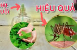 Vò nắm lá để góc nhà, muỗi cả đàn cũng kéo nhau đi hết, cả nhà yên tâm ngủ