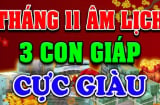 10 ngày đầu tháng 11 âm: 3 tuổi Phúc Lộc Toàn Tài, giàu số 2 không ai số 1