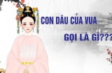 Phò mã là cách gọi con rể của nhà vua, vậy con dâu của vua gọi là gì?