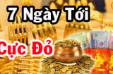 Tuần mới (2-8/12): 3 tuổi có cơ hội đổi đời, Thần Tài tự mang tiền đến tận cửa