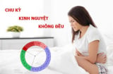 Chu kỳ kinh nguyệt thay đổi như thế nào theo thời gian?