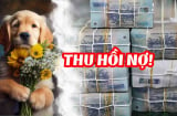 Ở hiền gặp lành: 3 tuổi phú quý đến, Tiền - Tài về, thảnh thơi đón Tết 2025