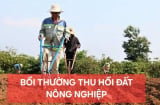 Thu hồi đất nông nghiệp 2025 được bồi thường bao nhiêu?