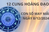 Tử vi ngày 8/12 con số may mắn số vàng cho 12 chòm sao mang lại cơn mưa tài lộc đổi đời giàu sang