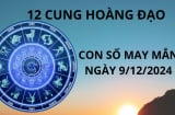 Tử vi ngày 9/12 con số may mắn cho 12 chòm sao chọn đúng thì sa trúng hố vàng, cuối năm đổi đời