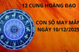 Tử vi ngày 10/12 con số may mắn giúp 12 chòm sao gặt hái thành công, tiền bạc đầy nhà tình cảm thăng hoa