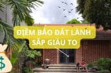 Người xưa dặn: Gần Tết có vị khách này tới nhà là có điềm báo gia đình có thể giàu có cần chú ý