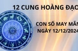 Tử vi ngày 12/12 con số may mắn cho 12 cung hoàng đạo ăn lộc tổ tiên nhận ơn trên phất lên giàu có