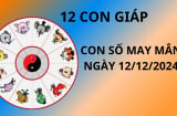 Tử vi ngày 12/12 con số may mắn số vàng tài lộc giúp 12 con giáp vượt qua khó khăn, giàu có bất ngờ