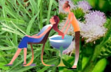 Nhanh tay bứt nắm lá mọc đầy đường về gội đầu, tóc mượt, chống rụng tóc tăng mọc tóc, đón Tết xinh tươi