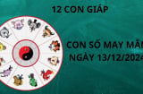 Tử vi ngày 13/12 con số may mắn tổ tiên ban tặng cho 12 con giáp nhanh chân hốt vàng nhặt bạc về nhà