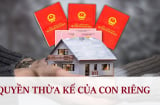 Con riêng có được chia thừa kế của mẹ kế, cha dượng không?