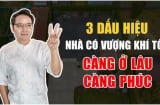 Nhà có 3 dấu hiệu này sớm muộn cũng phát tài giàu có: Đó là dấu hiệu gì?