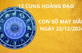 Tử vi ngày 22/12 con số may mắn cho 12 cung hoàng đạo nhận lộc tổ tiên hứng vàng bạc từ trên trời