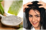 5 công thức ủ tóc dễ thực hiện tại nhà, giúp cải thiện tình trạng tóc khô xơ