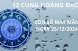 Tử vi ngày 25/12 con số may mắn cho 12 chòm sao nối tiếp dư âm Giáng sinh vàng bạc ùa theo vào nhà