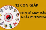 Tử vi ngày 25/12 con số may mắn Thần tài ban lộc, tổ tiên trợ giúp cho 12 con giáp đổi vận giàu sang