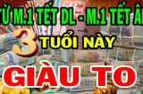 Từ mùng 1 tết Dương đến mùng 1 Tết âm: 3 tuổi Tiền Tình đỏ rực, thu nhập tăng vù vù