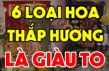 Đúng sáng mùng 1 tháng 12 Âm lịch: Đặt 6 loại hoa đánh thức tài lộc lên bàn thờ cả tháng đỏ như son