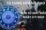 Tử vi ngày 3/1 con số may mắn giúp 12 cung hoàng đạo hứng trọn lộc trời nhận cơn mưa vàng tài lộc