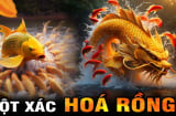 Sau 5/1: 3 tuổi cá Chép hóa Rồng, làm ăn Đại Cát, đặc biệt vị trí số 2