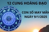 Tử vi ngày 9/1 con số may mắn dành tặng 12 cung hoàng đạo cơ hội làm giàu, chuyển vận phát tài